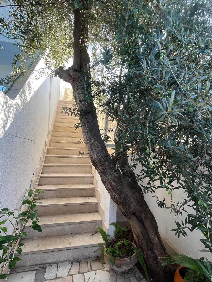 Luxeux Et Ideal A Marsa Plage Vue Sur Mer Apartamento La Marsa Exterior foto